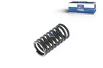 Spręśyna zaworu DT SPARE PARTS 1.10005