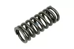 Spręśyna zaworu DT SPARE PARTS 1.10780