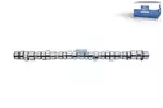 Wał rozrządu DT SPARE PARTS 2.10809