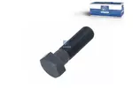 Śruba tarczy hamulcowej DT SPARE PARTS 3.89611