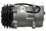 Kompresor klimatyzacji TEAMEC 8645620