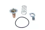 Termostat układu chłodzenia MOTORAD 686-87 INSK