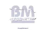 Katalizator BM CATALYSTS BM91479H