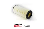 Filtr powietrza COOPERSFIAAM FL6875