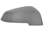 Pokrywa zewnętrznego lusterka BLIC 6103-05-1637311P (Z prawej)