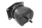 Poduszka silnika TEDGUM TED36116 (Z przodu)