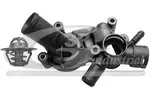 Termostat układu chłodzenia 3RG 80677