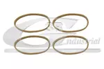 Zestaw uszczelek kolektora dolotowego 3RG 83627