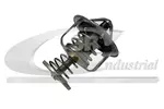 Termostat układu chłodzenia 3RG 86288