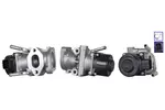 Zawór EGR DRI 717730416