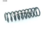 Sprężyna zawieszenia CS GERMANY 14.101.236 (Oś tylna)