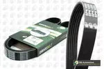 Pasek klinowy wielorowkowy BGA 6PK1178