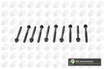 Zestaw śrub głowicy cylindrów BGA BK1318