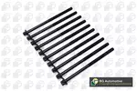 Zestaw śrub głowicy cylindrów BGA BK2333