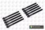 Zestaw śrub głowicy cylindrów BGA BK2339