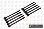 Zestaw śrub głowicy cylindrów BGA BK3376