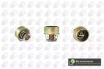 Termostat układu chłodzenia BGA CT5527
