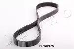 Pasek klinowy wielorowkowy JAPKO 6PK975
