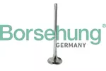 Zawór wydechowy BORSEHUNG B10321