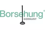 Zawór ssący BORSEHUNG B10323