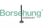 Zawór wydechowy BORSEHUNG B10324