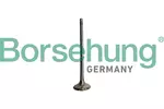 Zawór wydechowy BORSEHUNG B10335