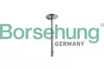 Zestaw pierscieni tłoka BORSEHUNG B10344