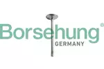 Zawór ssący BORSEHUNG B10351