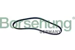 Pasek klinowy wielorowkowy BORSEHUNG B12496