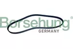 Pasek klinowy wielorowkowy BORSEHUNG B12497