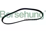 Pasek klinowy wielorowkowy BORSEHUNG B12499