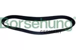 Pasek klinowy wielorowkowy BORSEHUNG B12504