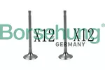 Zawór BORSEHUNG B18639