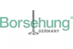 Zawór wydechowy BORSEHUNG B19001