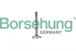 Zawór wydechowy BORSEHUNG B19003