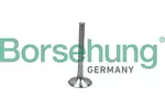 Zawór wydechowy BORSEHUNG B19014