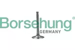 Zawór ssący BORSEHUNG B19027