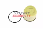 Filtr modułu pompy paliwa FAST FT01340