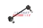 FAST FT01641 (Oś tylna strona lewa)