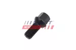 Szpilka koła FAST FT10669