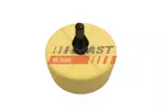Bufor FAST FT12624