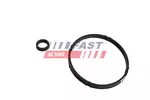 Uszczelka chłodnicy olejowej FAST FT48952 (Obudowa filtra oleju)