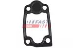 Uszczelnienie FAST FT49903