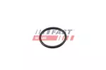 Uszczelka termostatu FAST FT49917