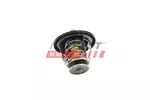 Termostat FAST FT58033