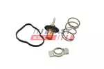 Termostat FAST FT58042