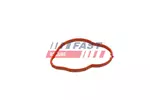Uszczelnienie FAST FT58305