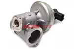 Zawór EGR FAST FT60224