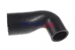 Przewód powietrza doładowujacego BOGAP A1711312