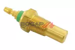 Czujnik temperatury płynu chłodzącego BOGAP E4126103
